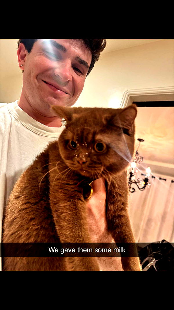 skilahblue image ~ Altpins