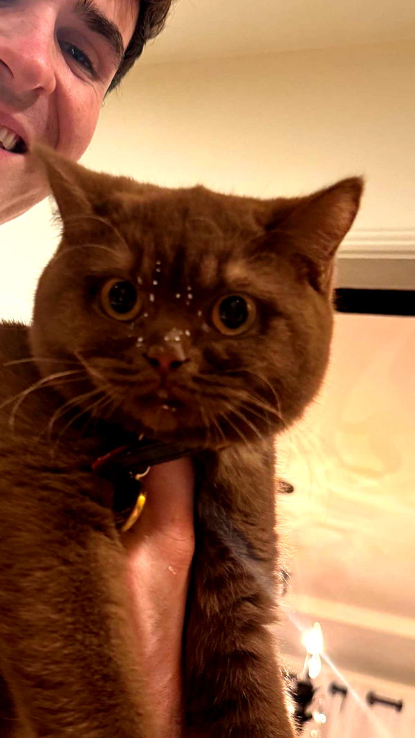 skilahblue image ~ Altpins