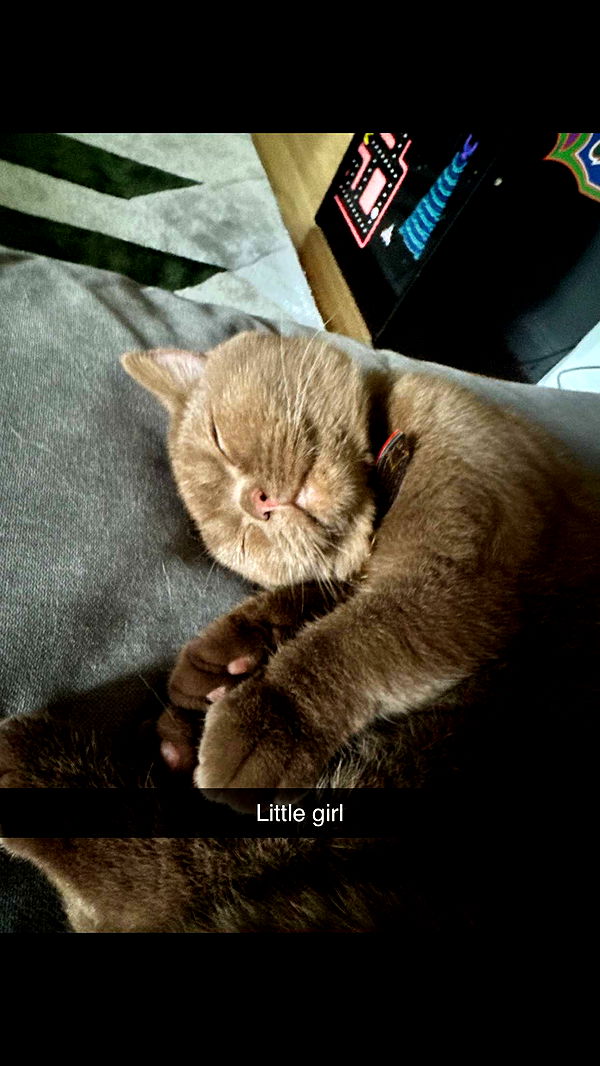 skilahblue image ~ Altpins