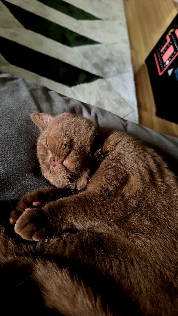 skilahblue image ~ Altpins