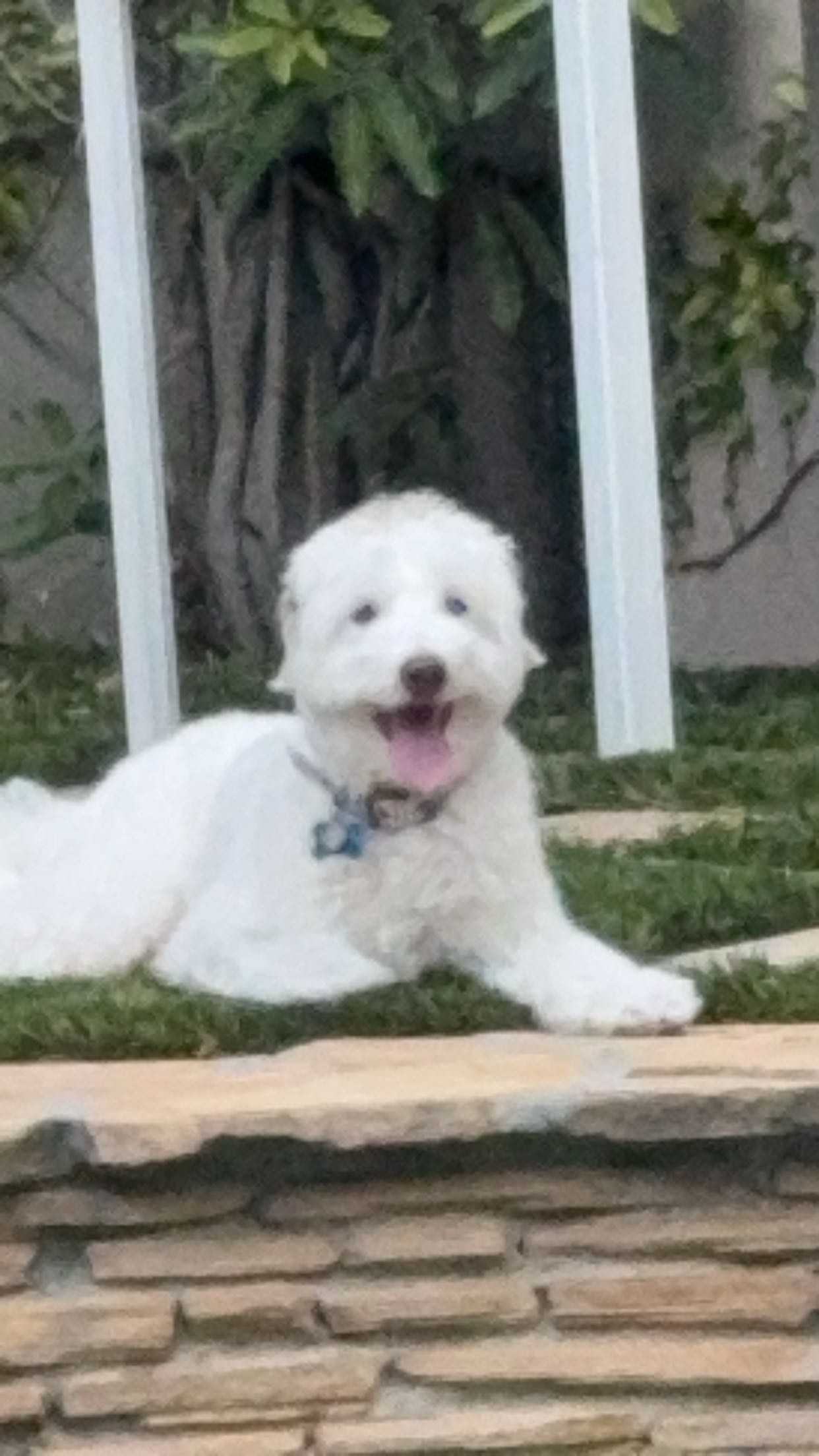 skilahblue snapchat image archive image