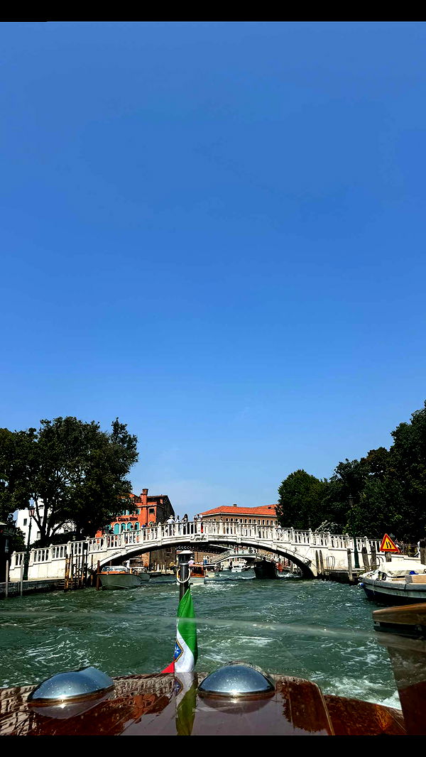 skilahblue image ~ Altpins