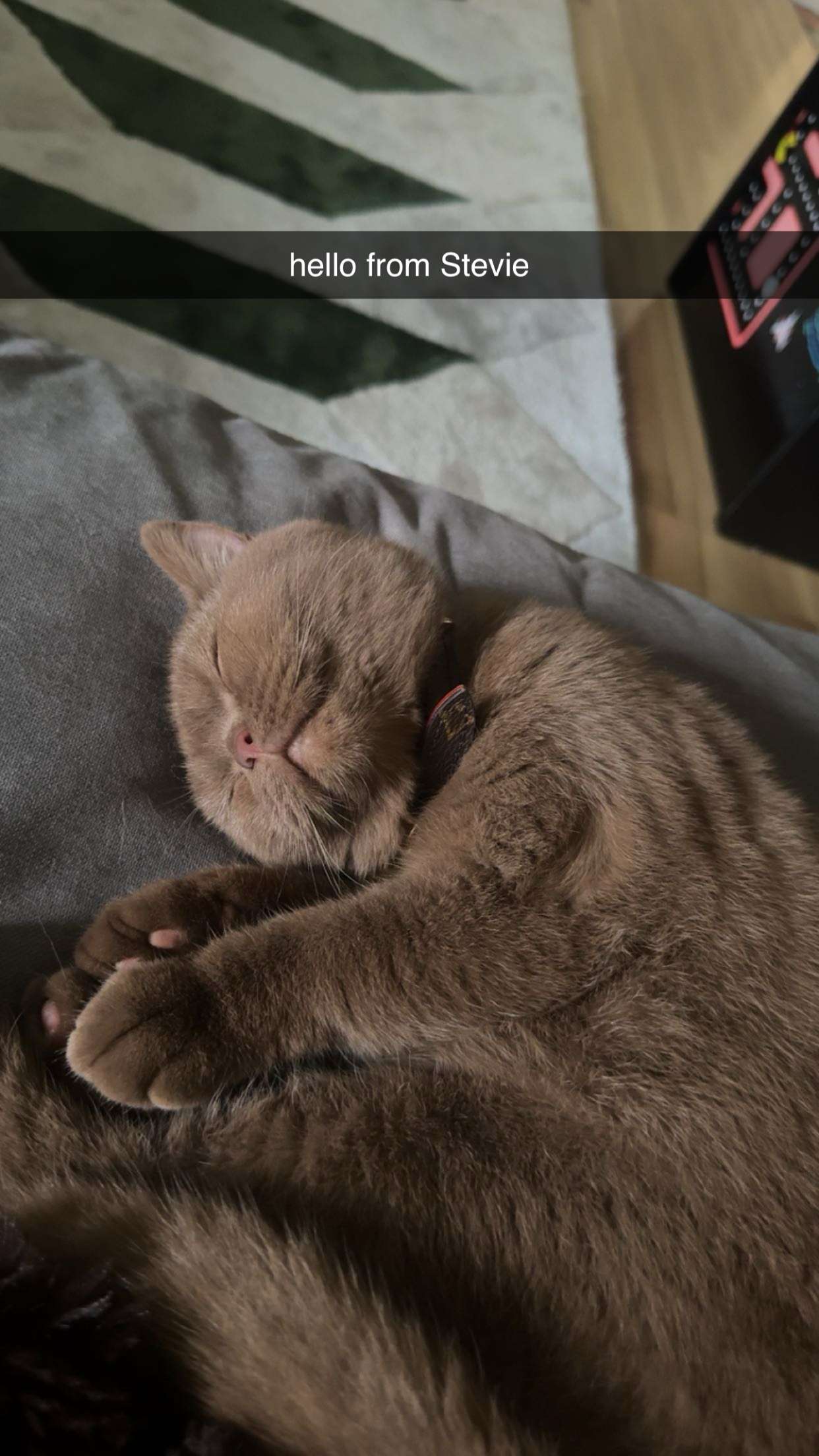 skilahblue snapchat image archive image