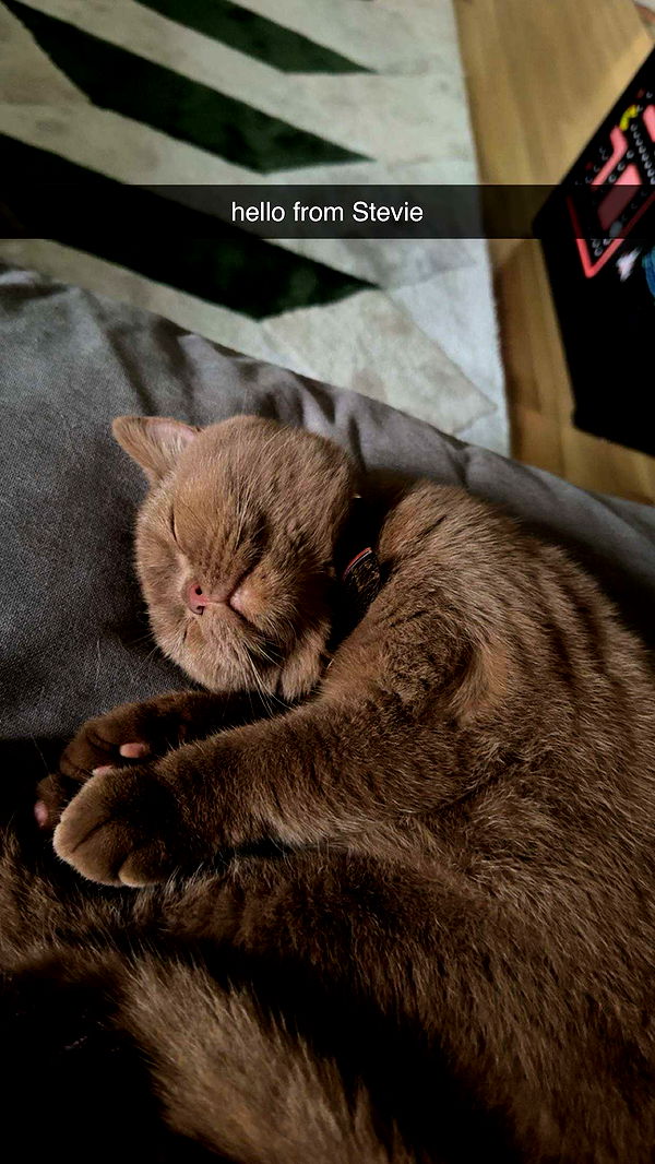 skilahblue image ~ Altpins