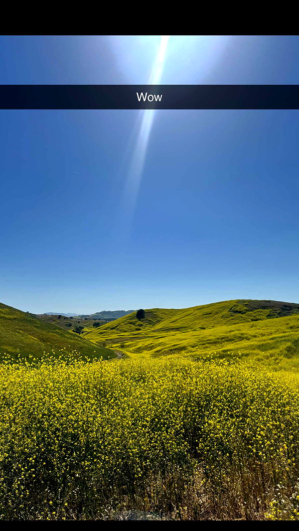 skilahblue image ~ Altpins