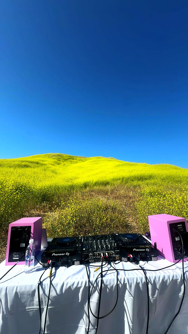 skilahblue image ~ Altpins