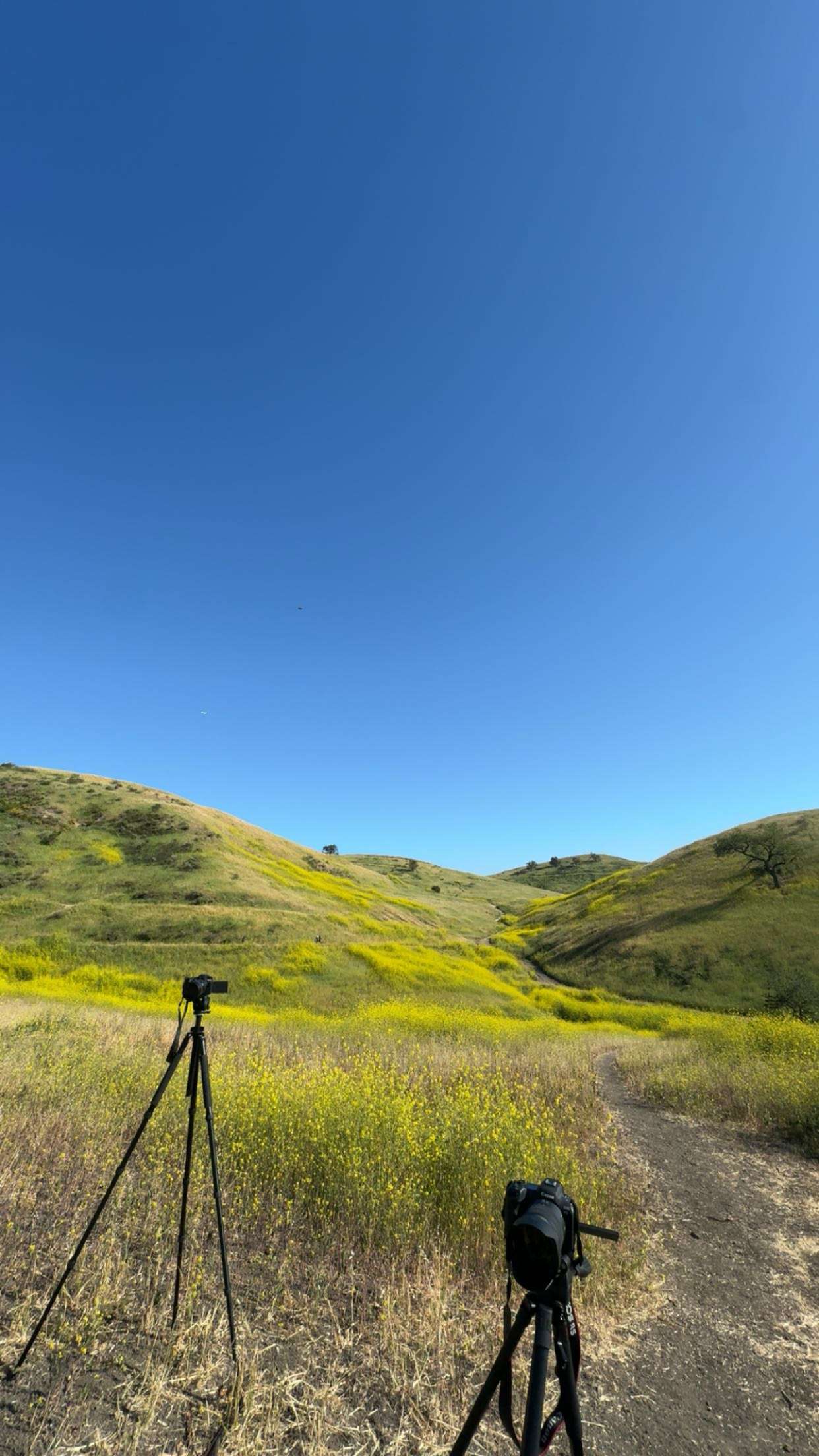 skilahblue snapchat image archive image