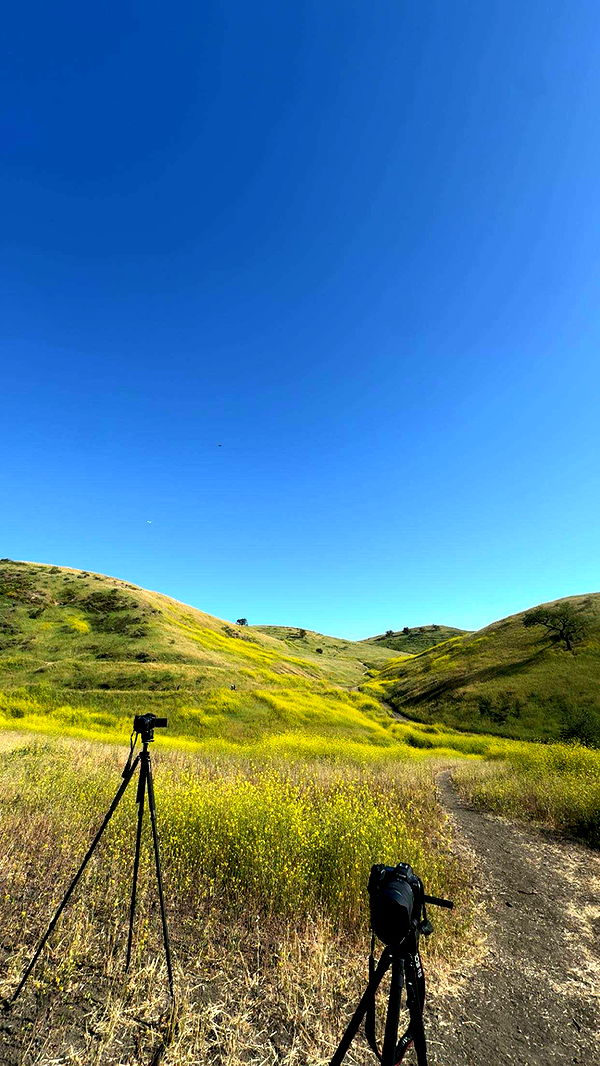 skilahblue image ~ Altpins