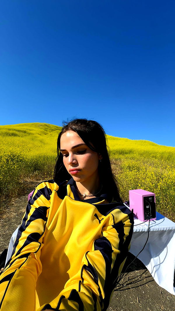 skilahblue image ~ Altpins