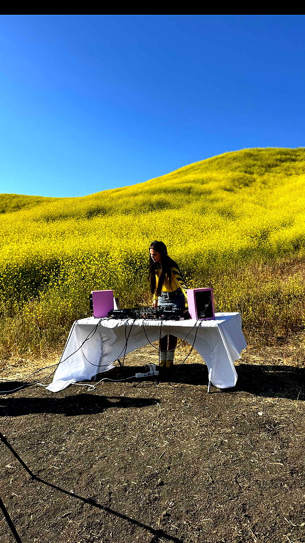 skilahblue image ~ Altpins