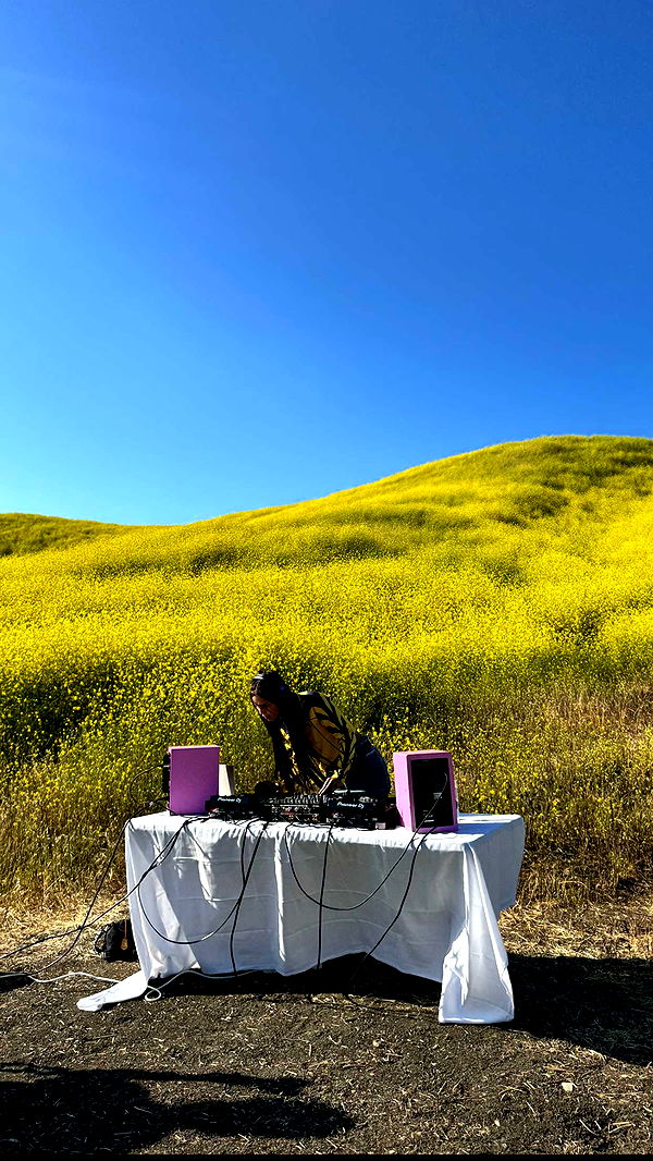 skilahblue image ~ Altpins