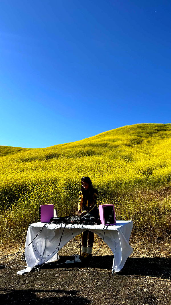 skilahblue image ~ Altpins