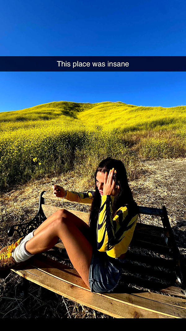 skilahblue image ~ Altpins