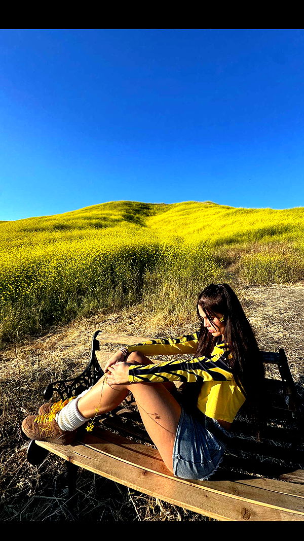 skilahblue image ~ Altpins