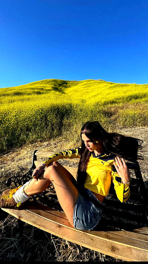 skilahblue image ~ Altpins