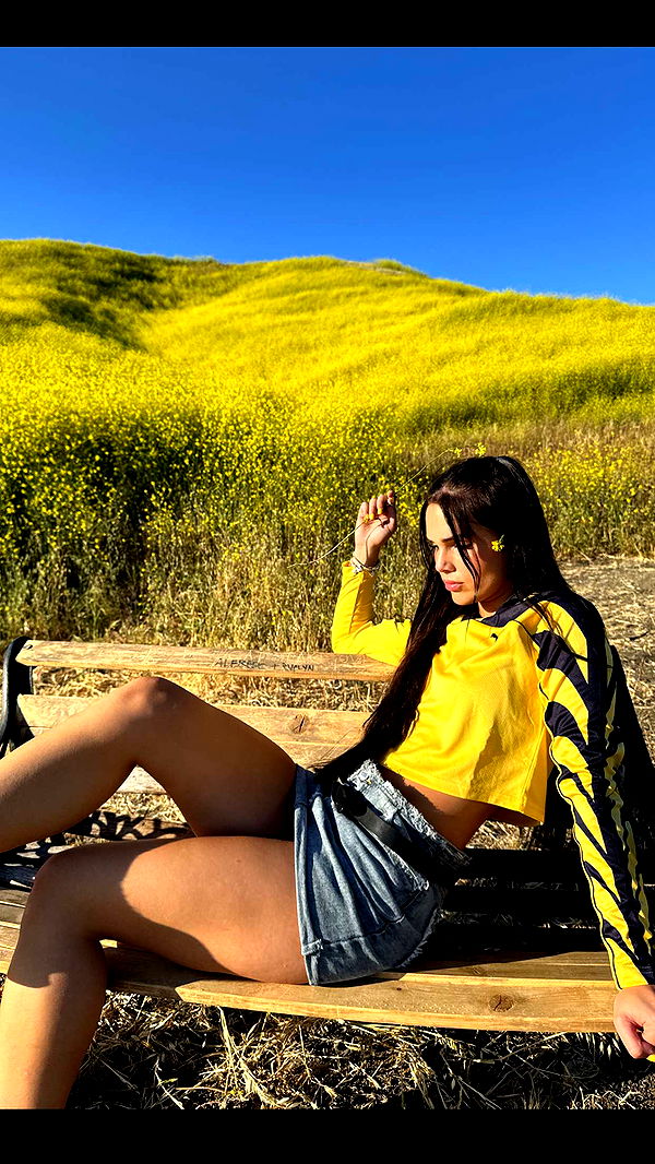 skilahblue image ~ Altpins