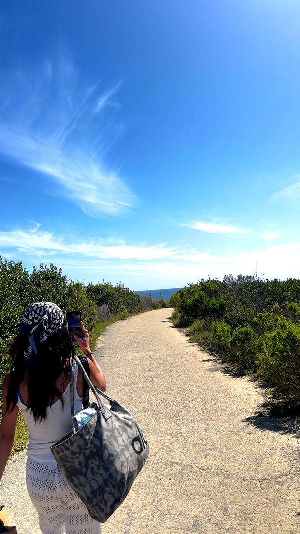 skilahblue image ~ Altpins