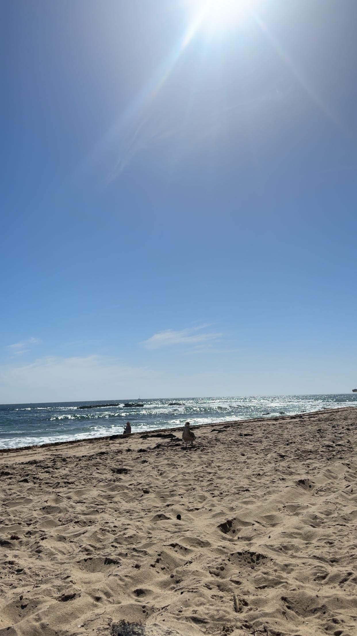 skilahblue snapchat image archive image