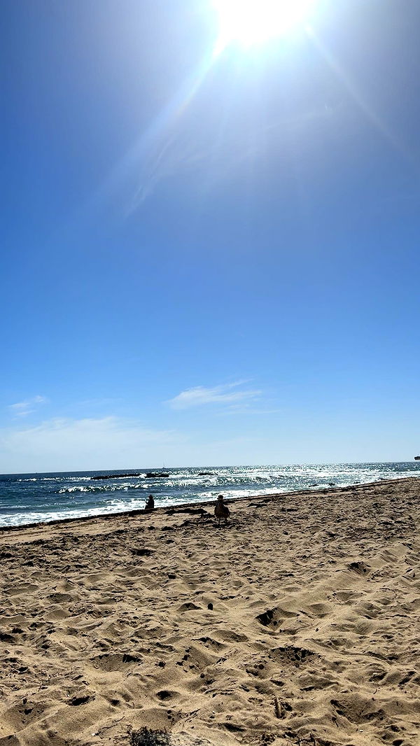 skilahblue image ~ Altpins