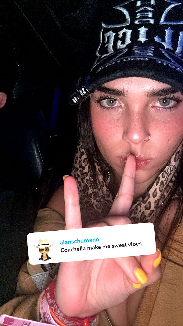 skilahblue image ~ Altpins