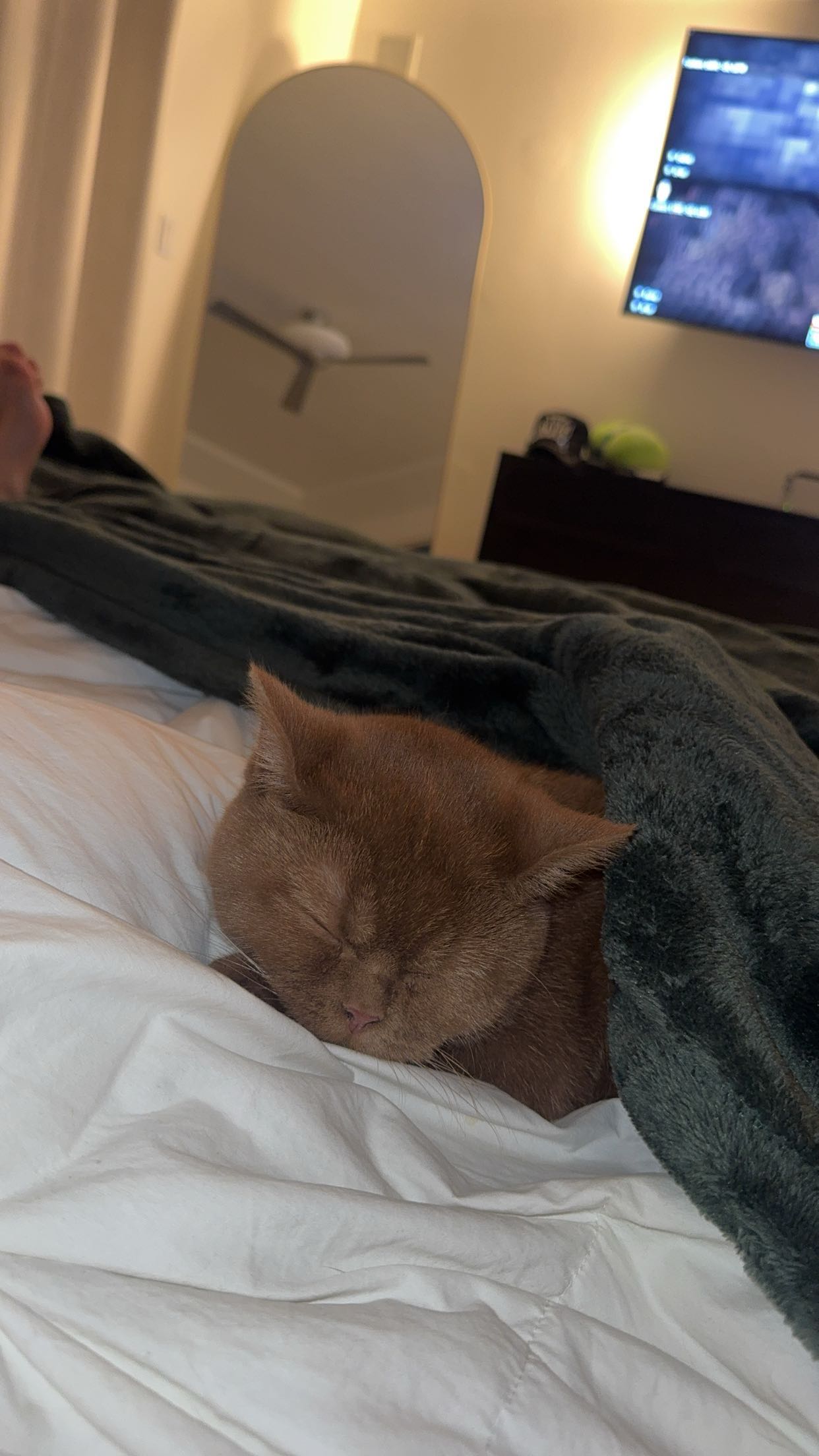 skilahblue snapchat image archive image