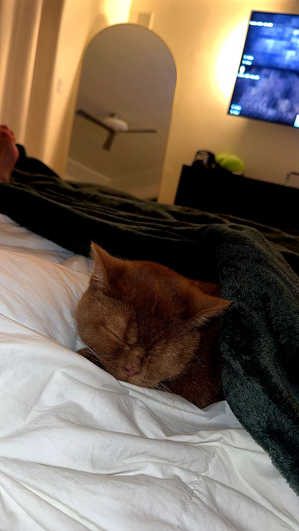 skilahblue image ~ Altpins