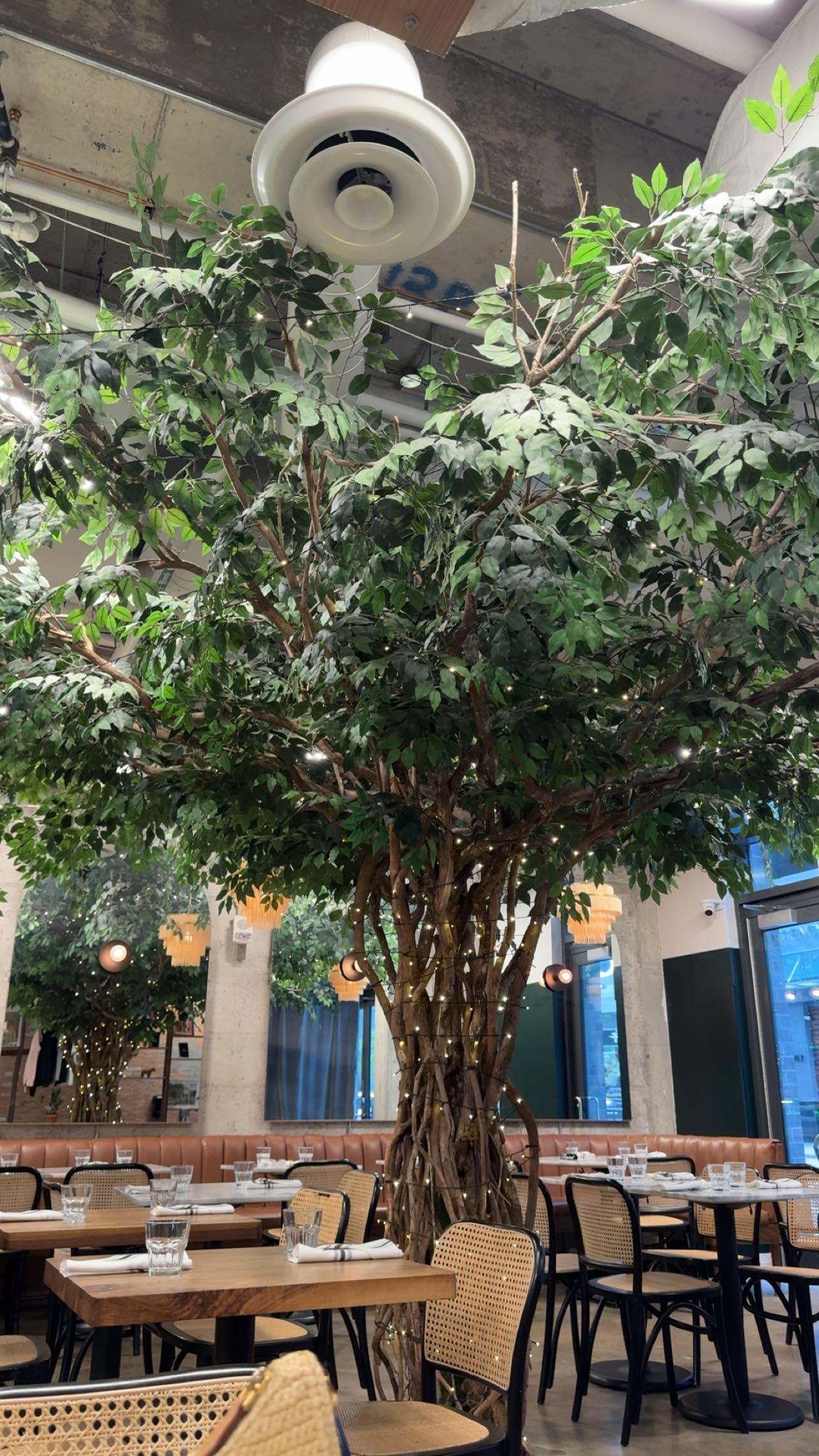 skilahblue snapchat image archive image