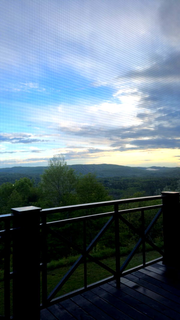 skilahblue image ~ Altpins