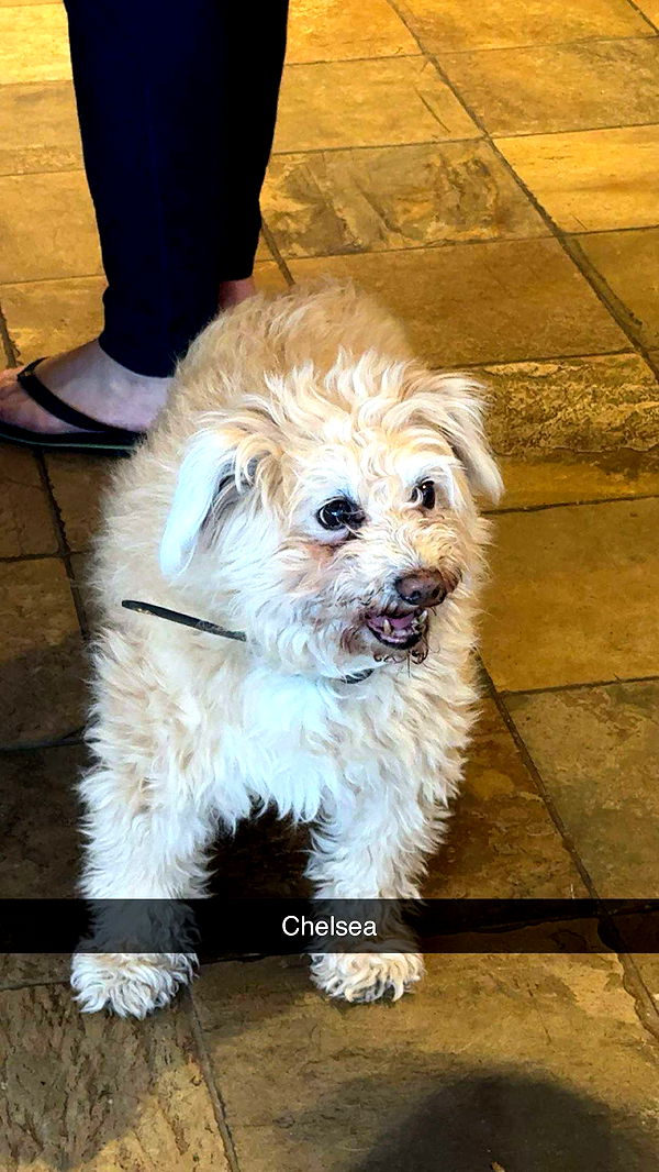 skilahblue image ~ Altpins