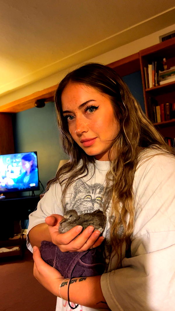 skilahblue image ~ Altpins