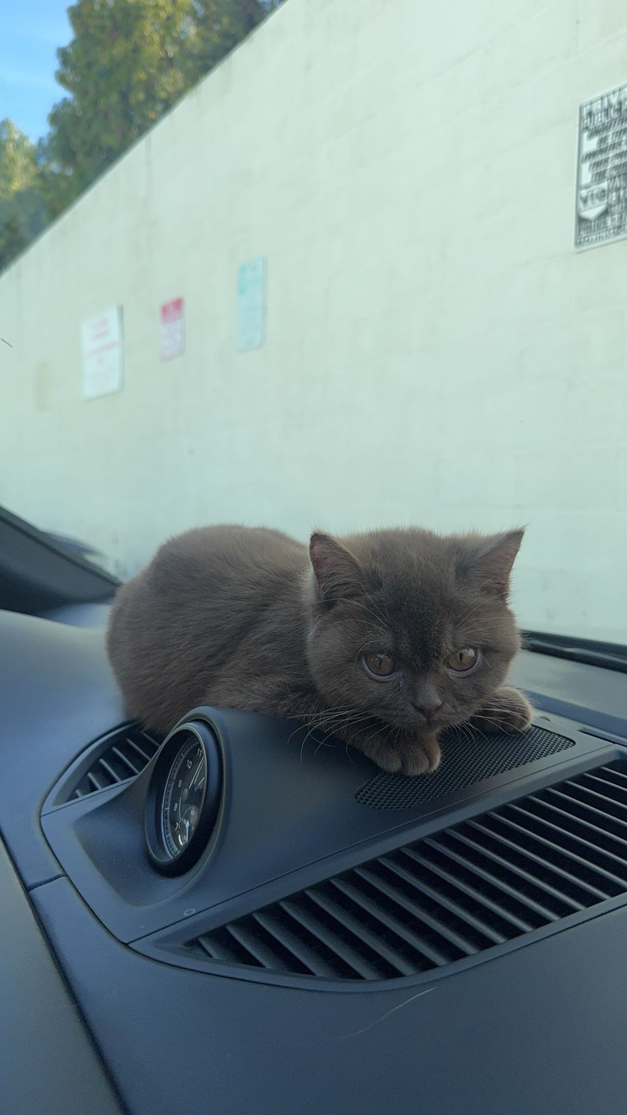 skilahblue snapchat image archive image