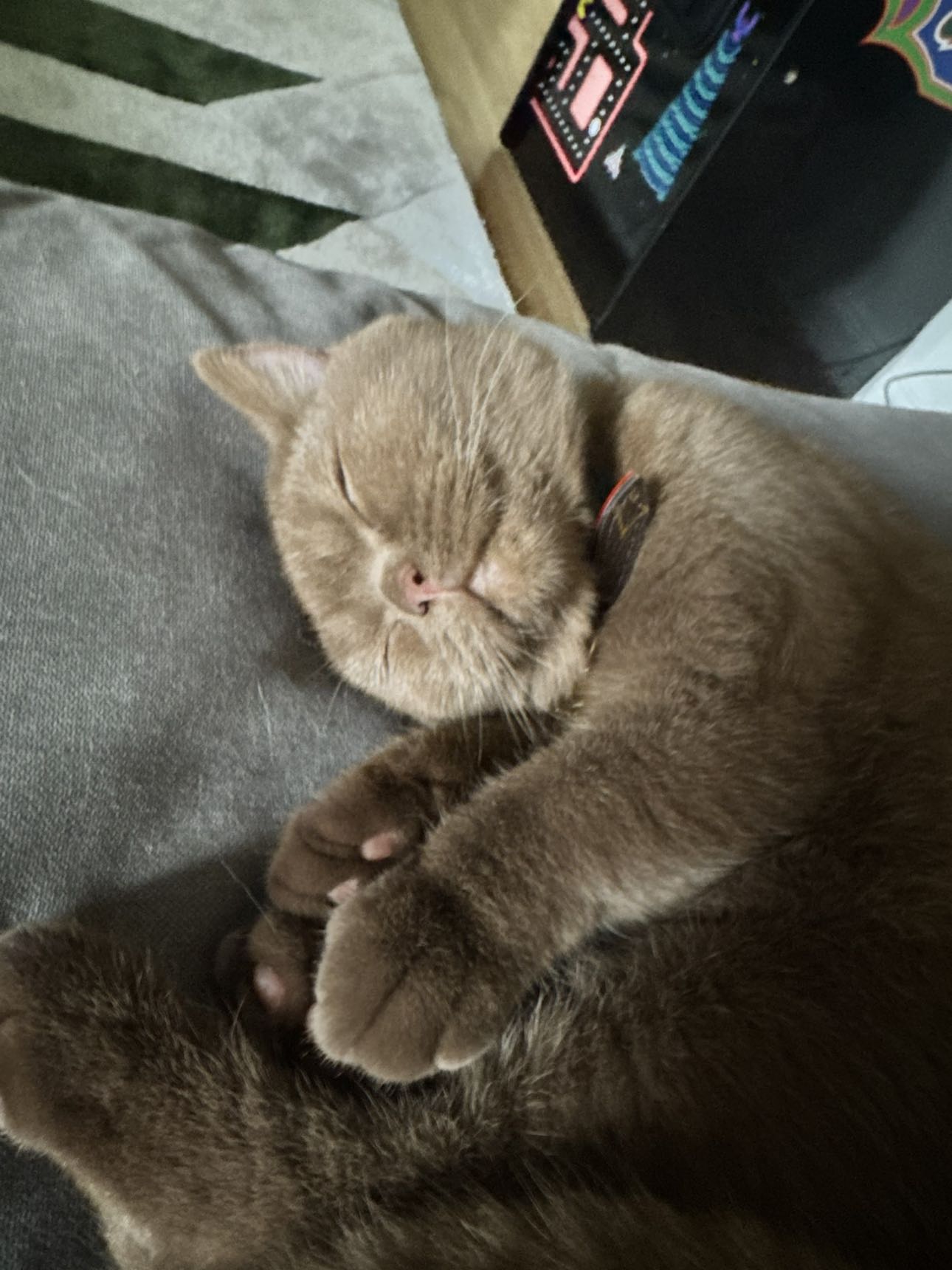 skilahblue snapchat image archive image