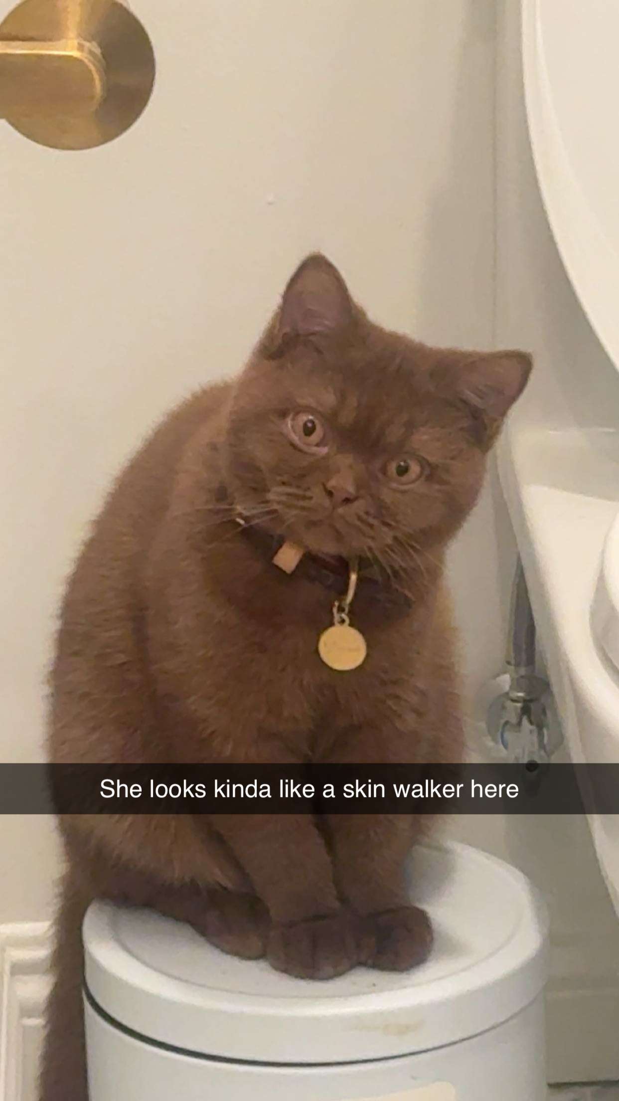 skilahblue snapchat image archive image