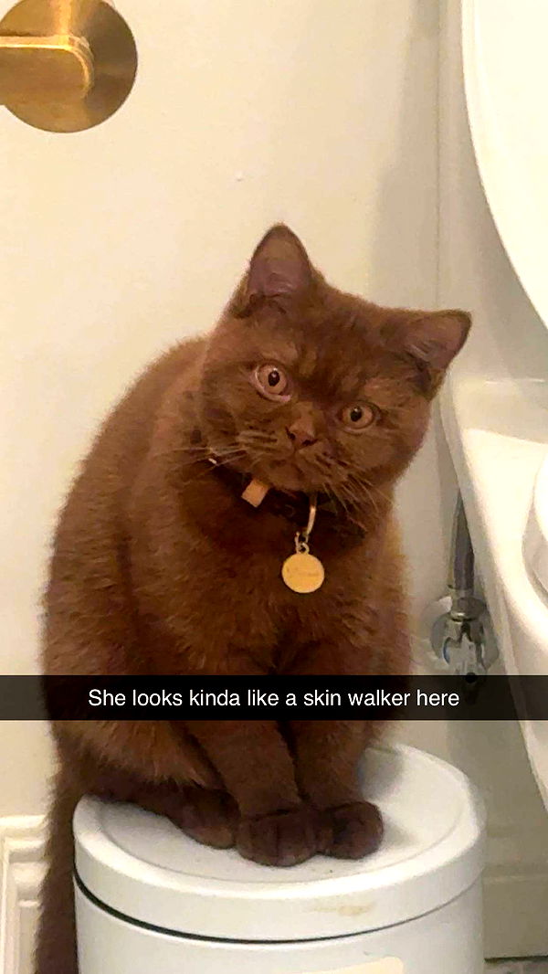 skilahblue image ~ Altpins