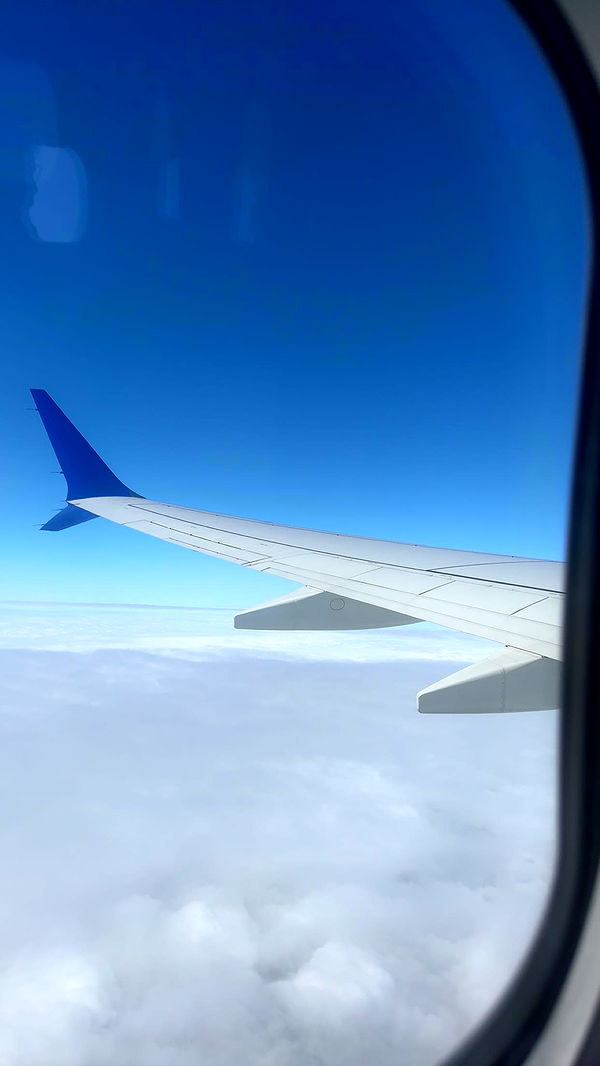 skilahblue image ~ Altpins