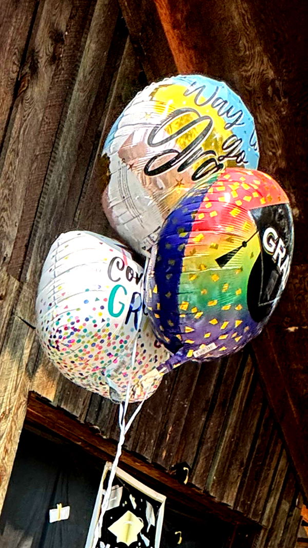 skilahblue image ~ Altpins