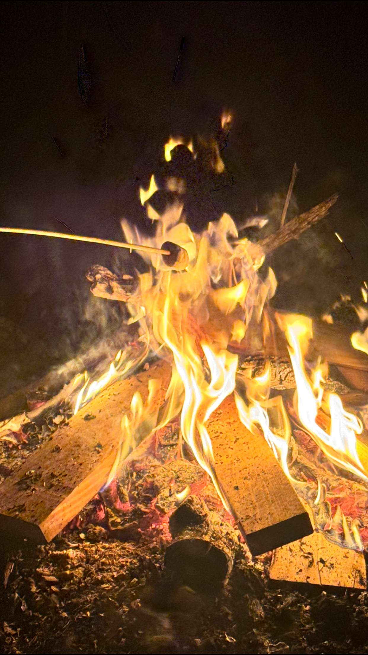 skilahblue snapchat image archive image