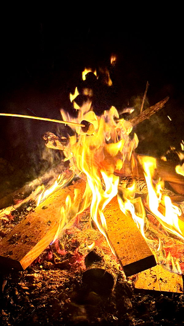 skilahblue image ~ Altpins