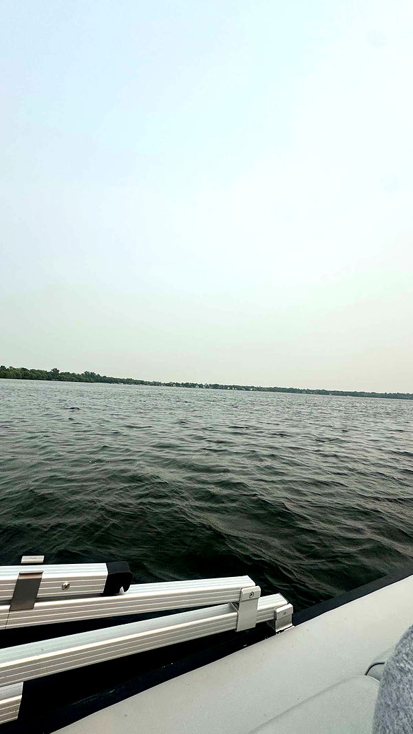 skilahblue image ~ Altpins