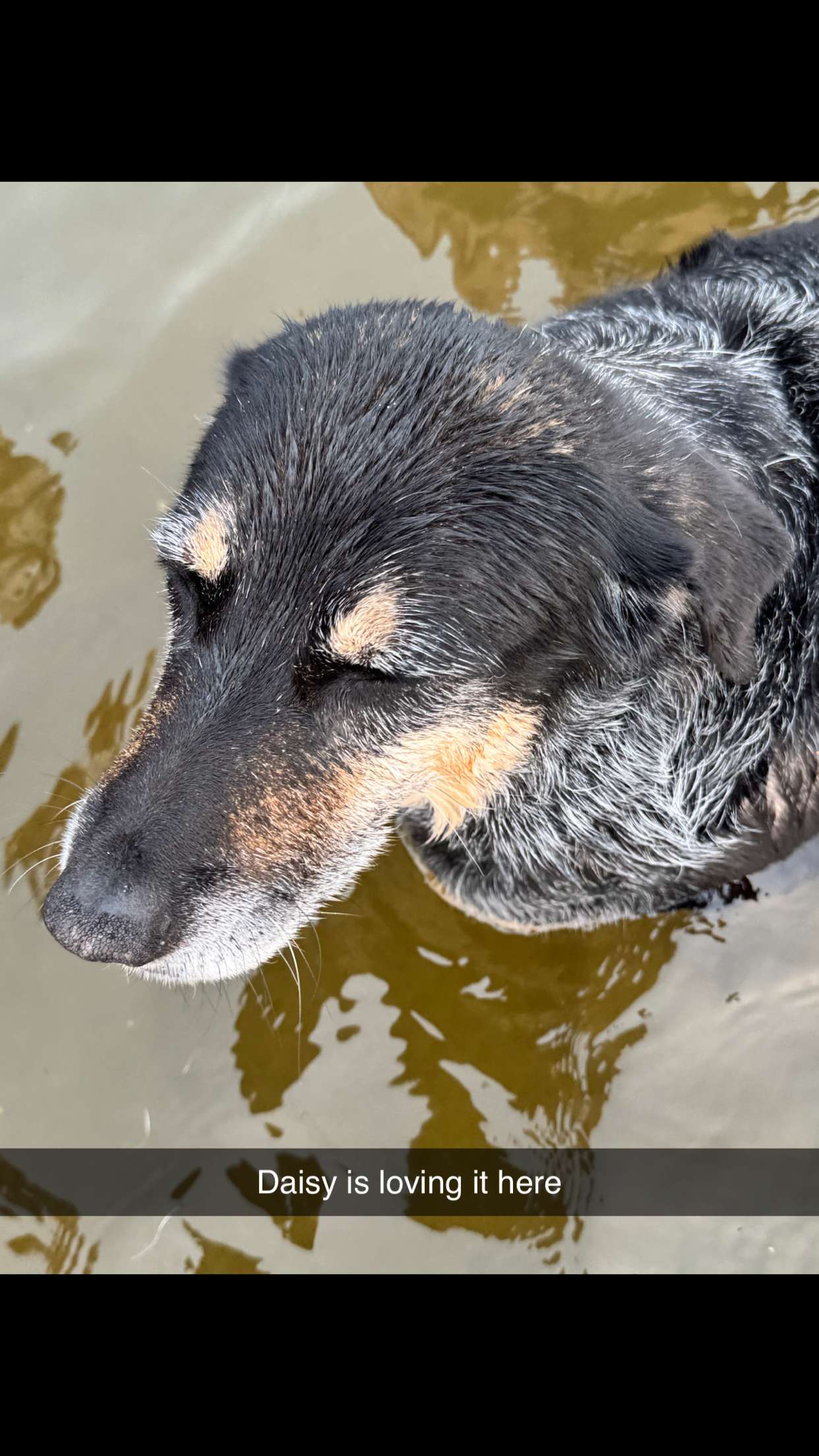 skilahblue snapchat image archive image