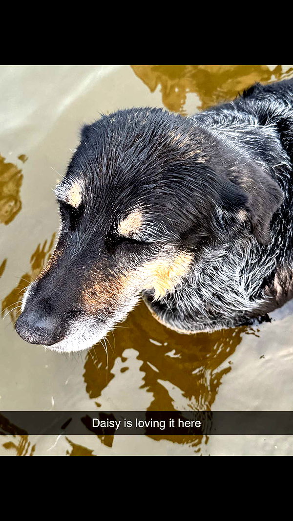 skilahblue image ~ Altpins