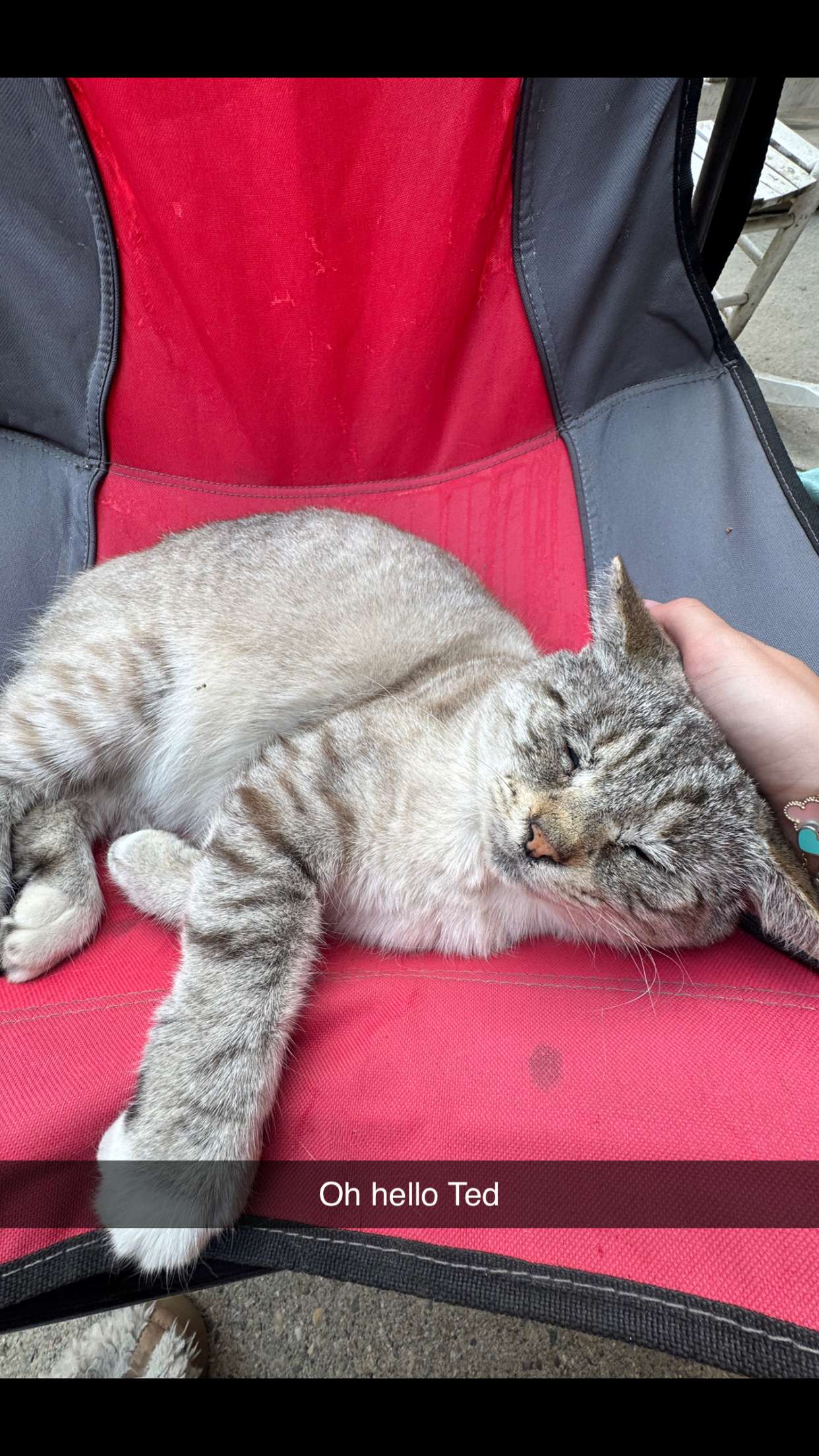 skilahblue snapchat image archive image