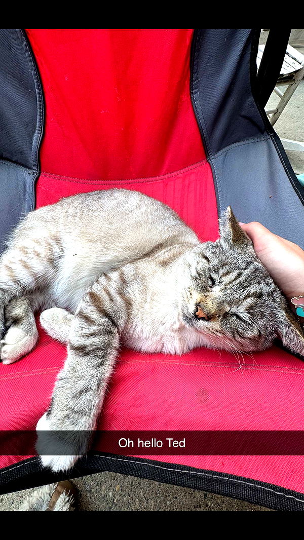 skilahblue image ~ Altpins