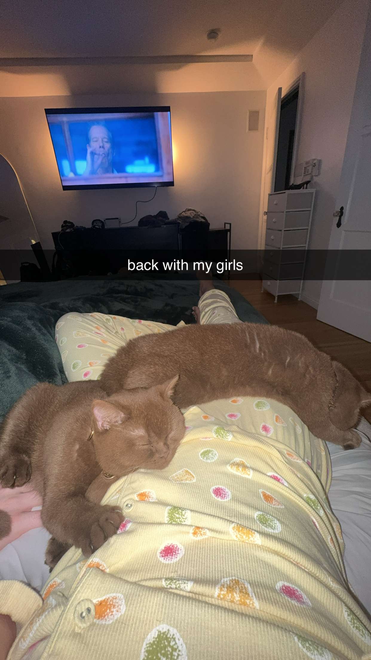 skilahblue snapchat image archive image