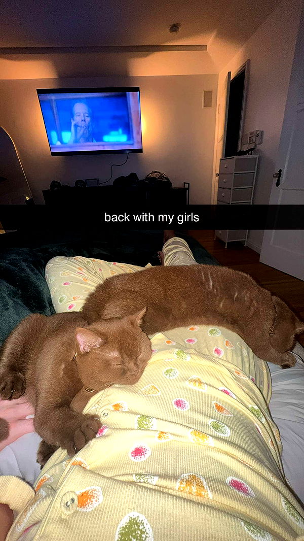 skilahblue image ~ Altpins