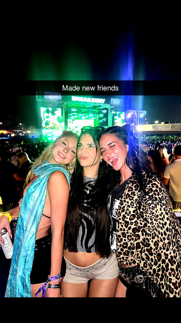 skilahblue image ~ Altpins