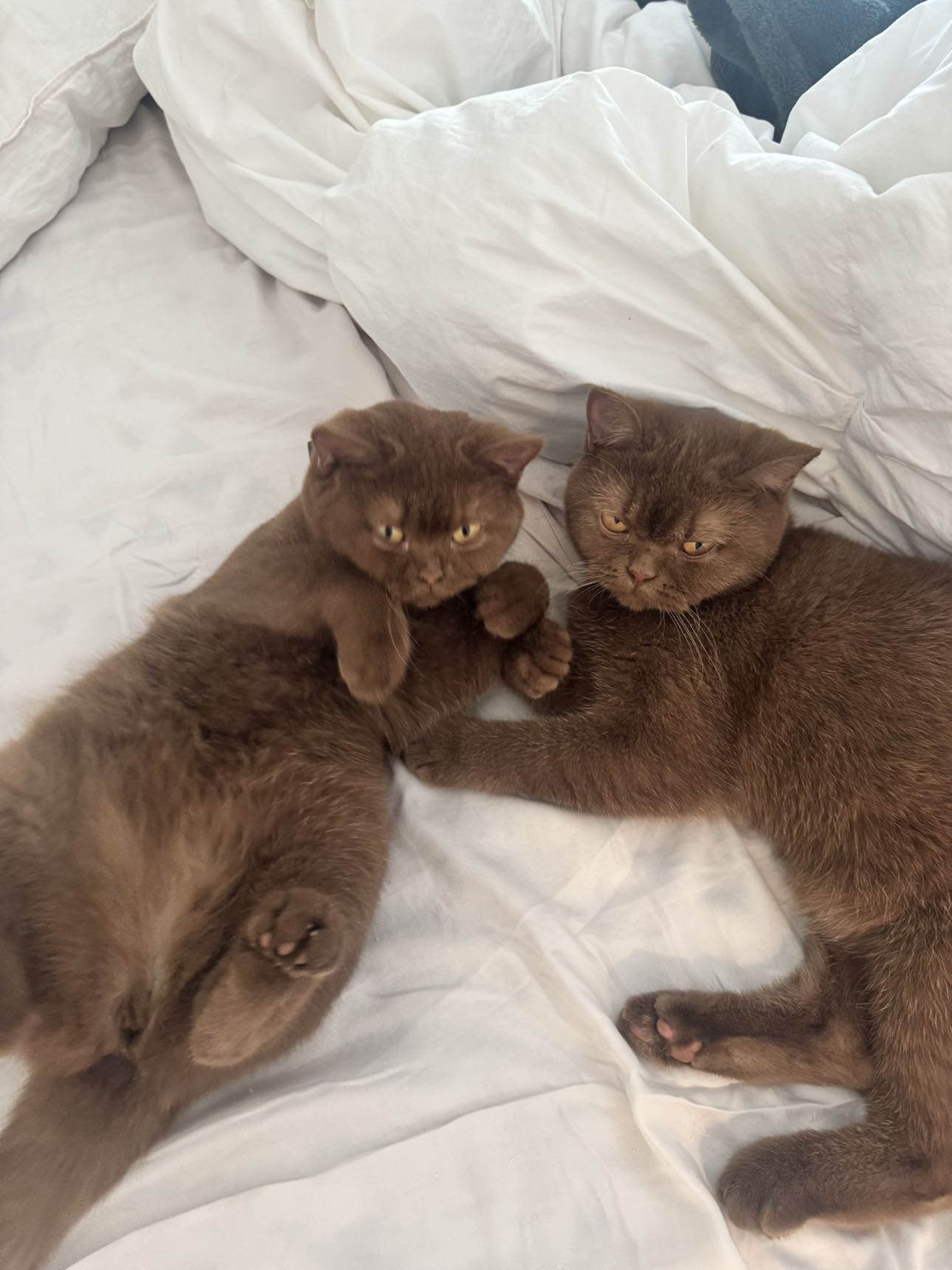 skilahblue snapchat image archive image