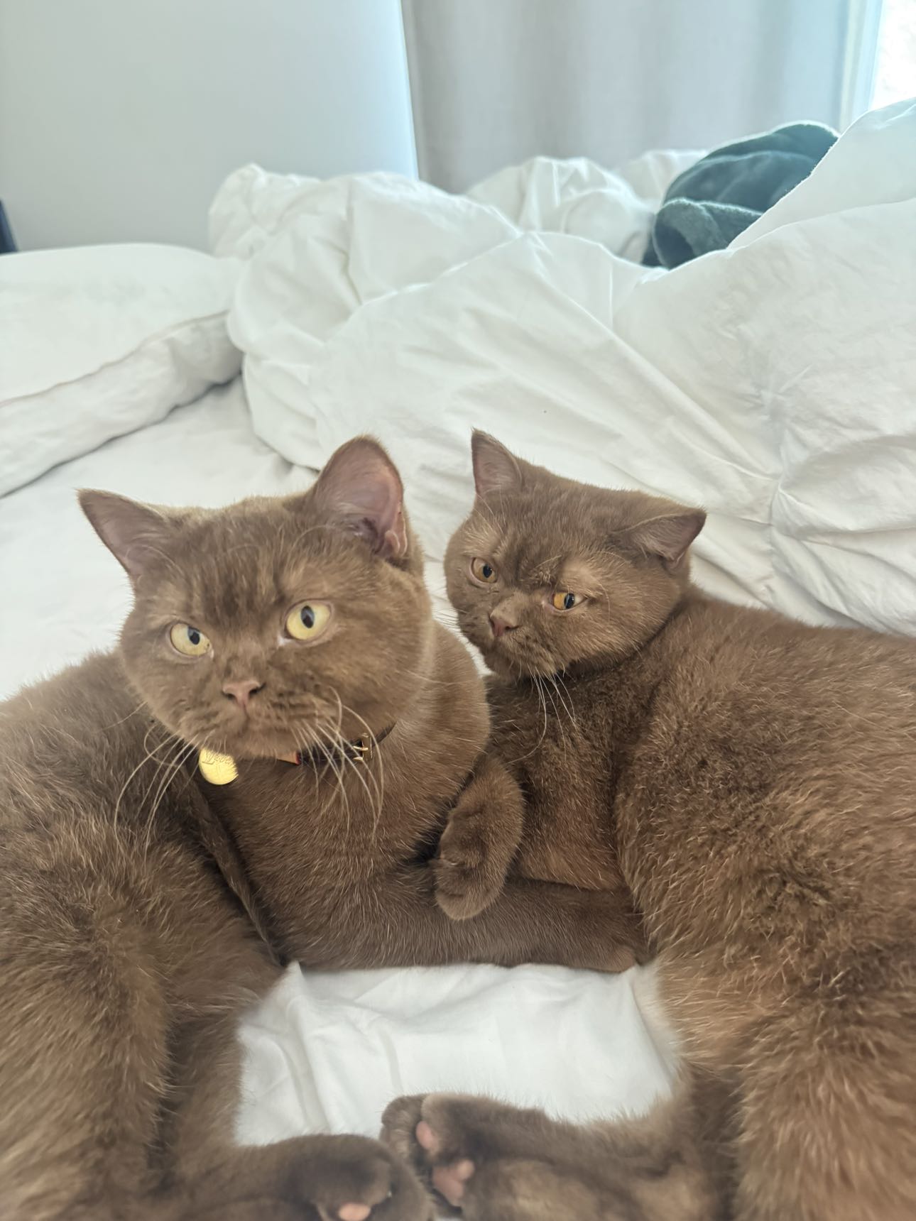 skilahblue snapchat image archive image