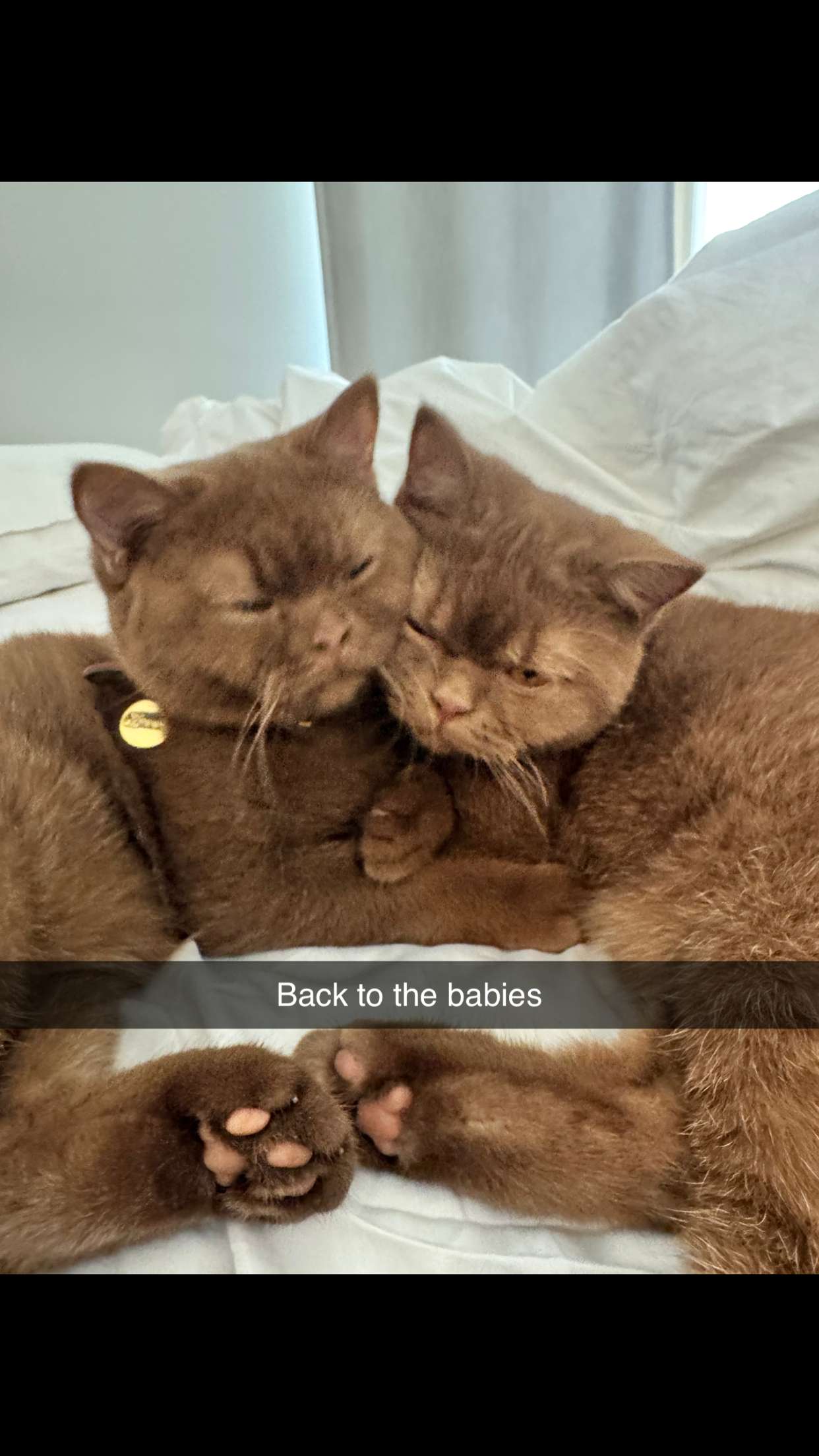 skilahblue snapchat image archive image