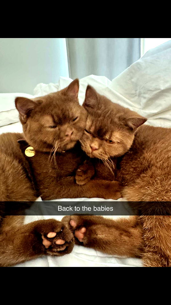 skilahblue image ~ Altpins